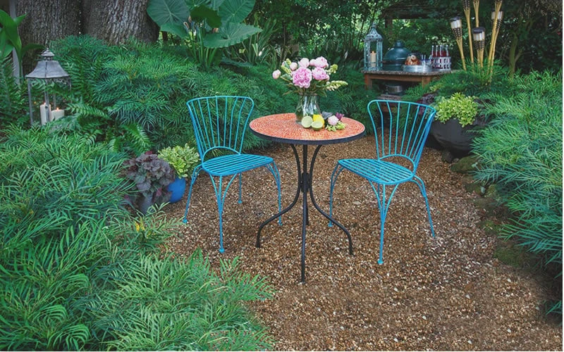 Soft Caress Mahonia - 2 Gallon Pot - Image 4